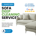 sofa cleaning