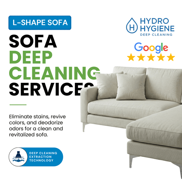 sofa cleaning